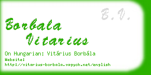 borbala vitarius business card